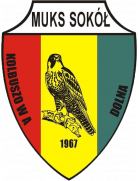 Sokół Kolbuszowa Dolna