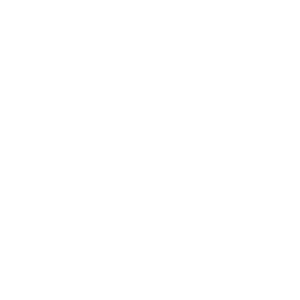 Wiślanie Skawina