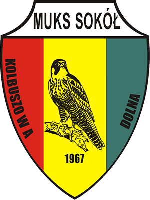 Sokół Kolbuszowa Dolna